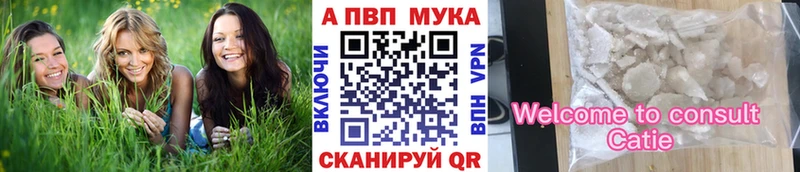 Альфа ПВП СК  Новокубанск 