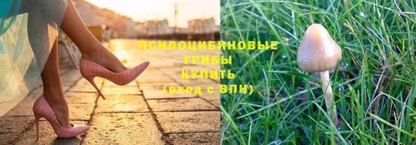 ешки Баксан