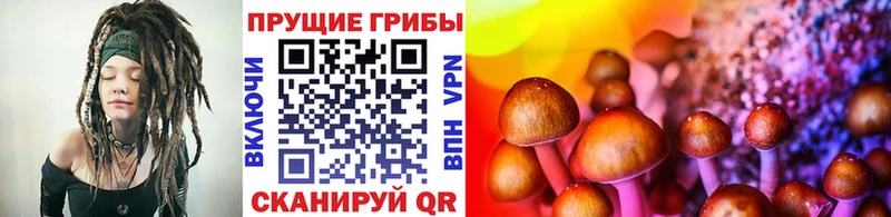 Псилоцибиновые грибы GOLDEN TEACHER  мориарти состав  Новокубанск 
